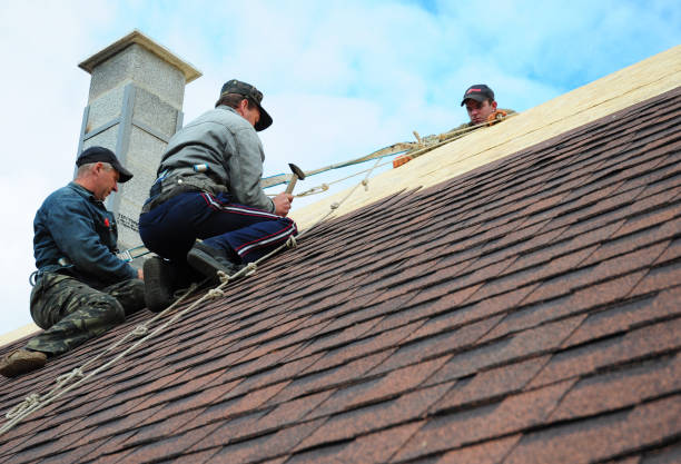 Best Emergency Roof Repair  in Centreville, MI